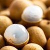 龍眼-powm6csj28vl0l6ffi4d3j4cxc9rblc1wdcfvhk8h4.jpg 龍眼-powm6csj28vl0l6ffi4d3j4cxc9rblc1wdcfvhk8h4.jpg